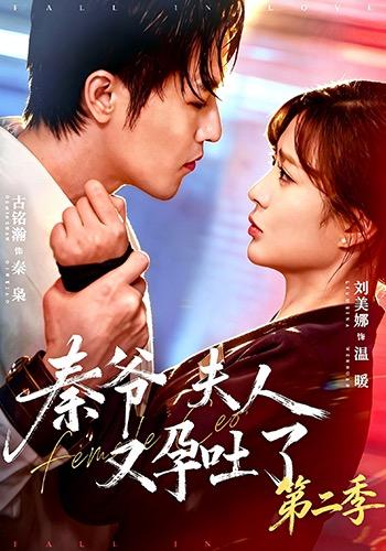 秦爷夫人又孕吐了第二季海报