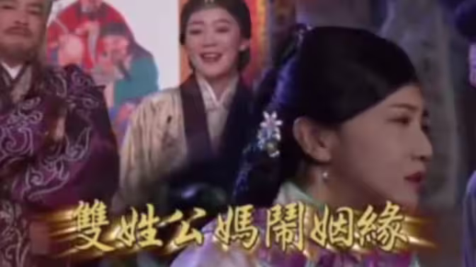 戏说台湾之双姓公妈闹姻缘海报
