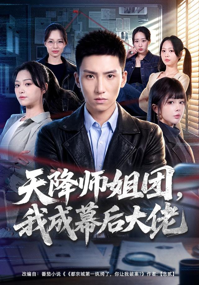 天降师姐团，我成幕后大佬海报