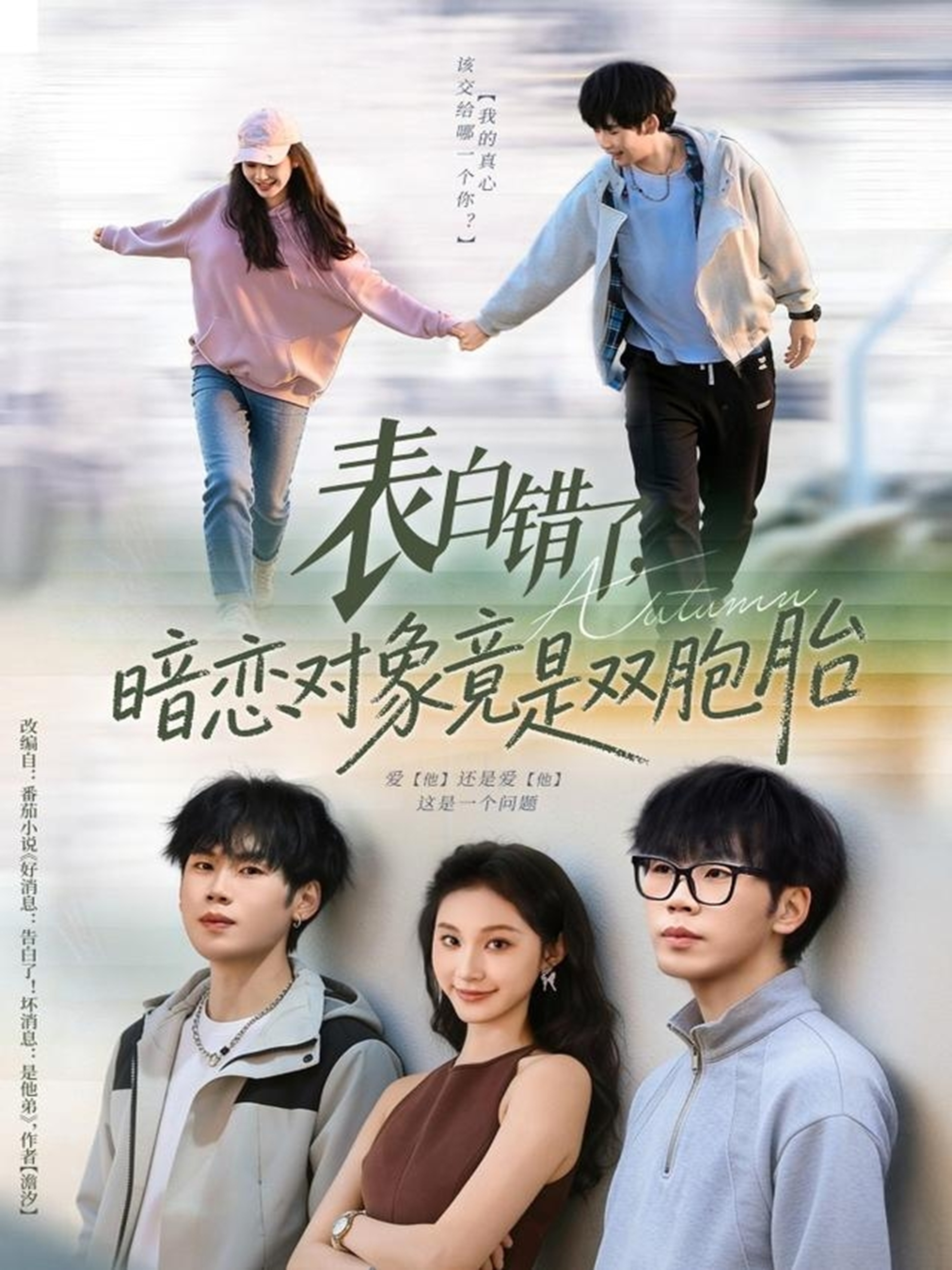 表白错了暗恋对象竟是双胞胎海报