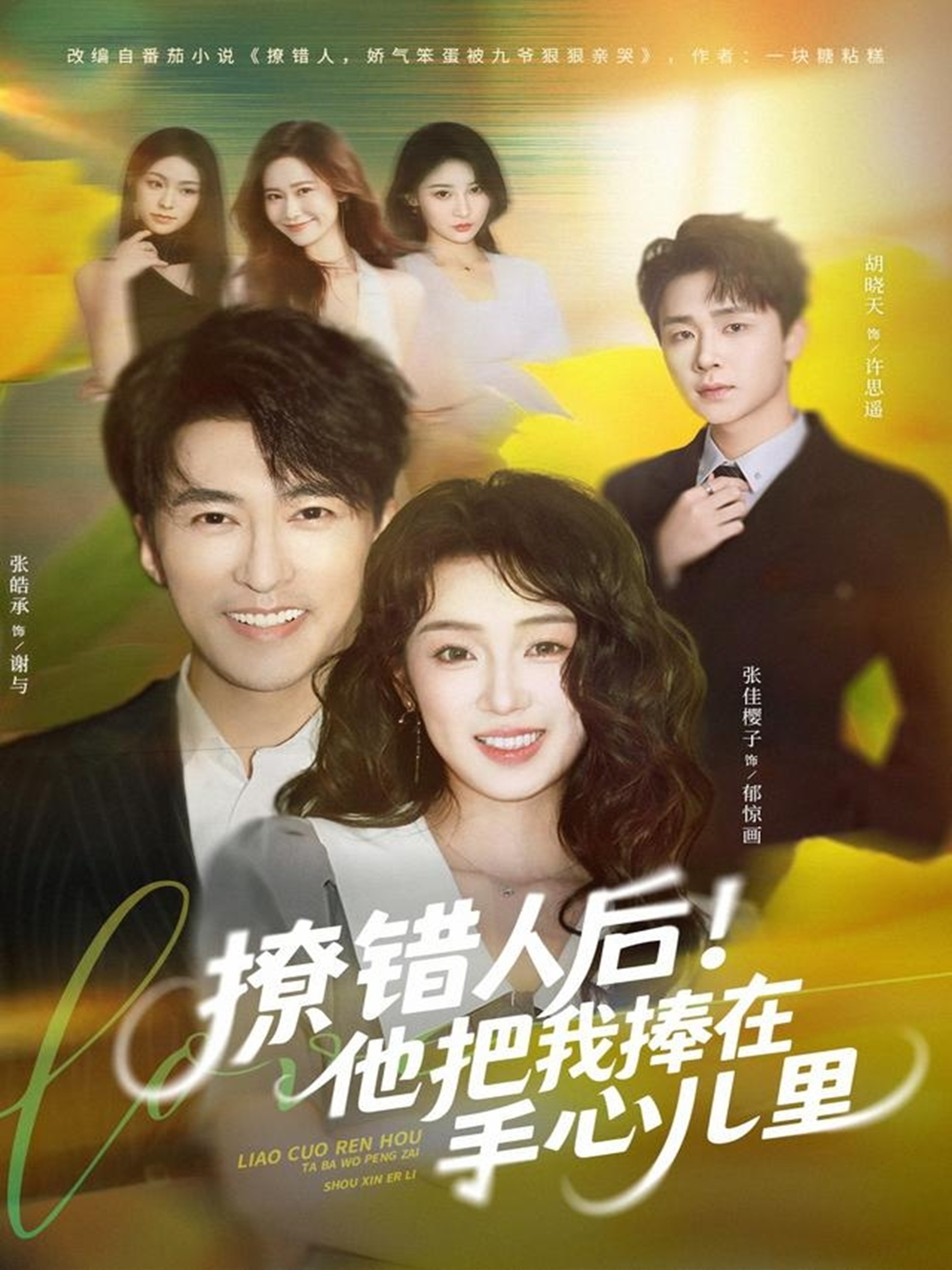 撩错人后！他把我捧在手心儿里海报