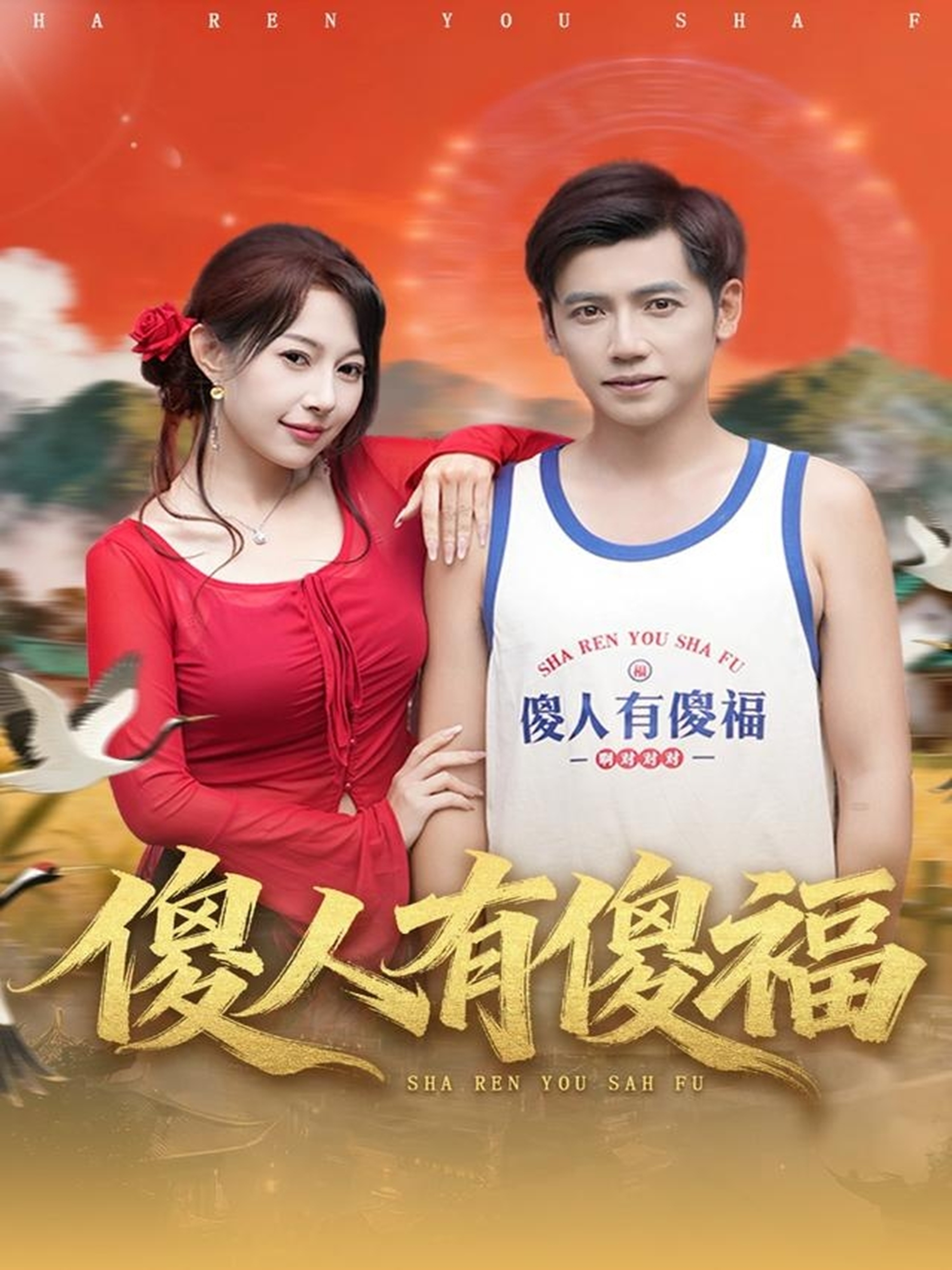 傻人有傻福海报