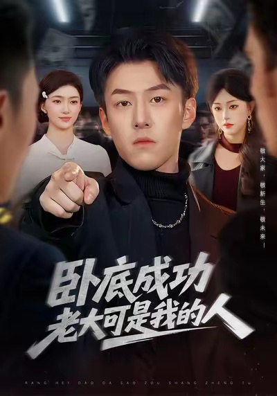 卧底成功老大可是我的人海报