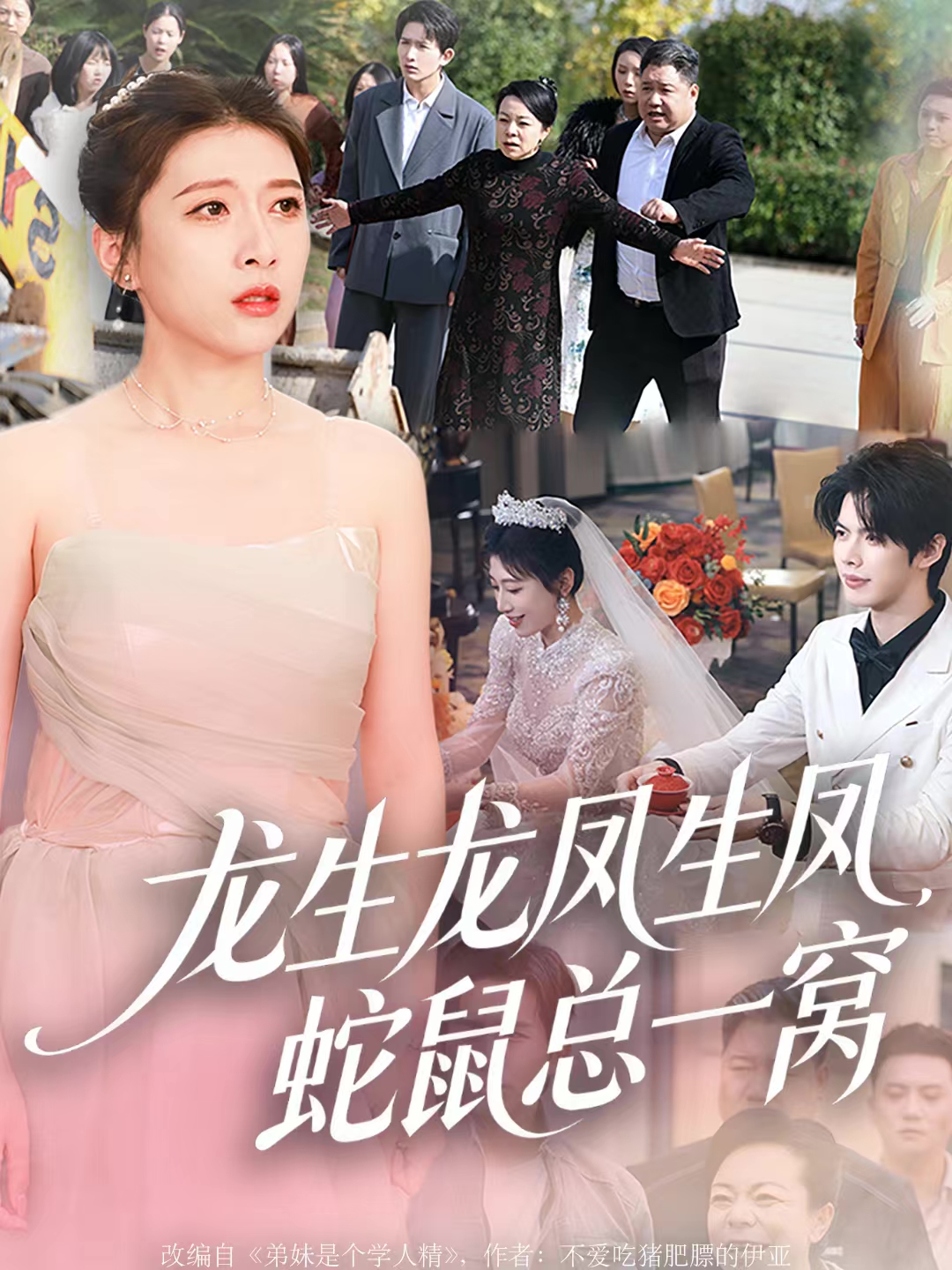 龙生龙凤生凤，蛇鼠总一窝海报