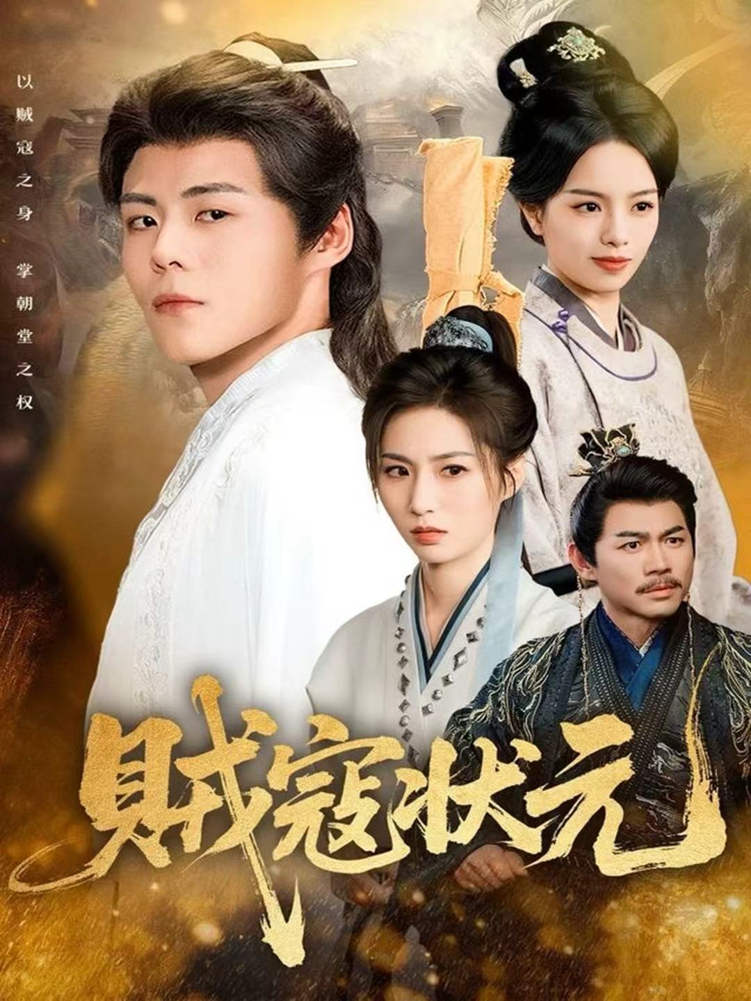 贼寇状元海报