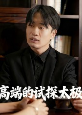高端的试探太极海报