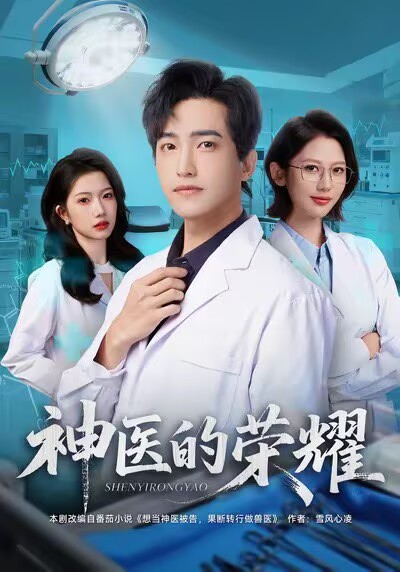 神医的荣耀海报