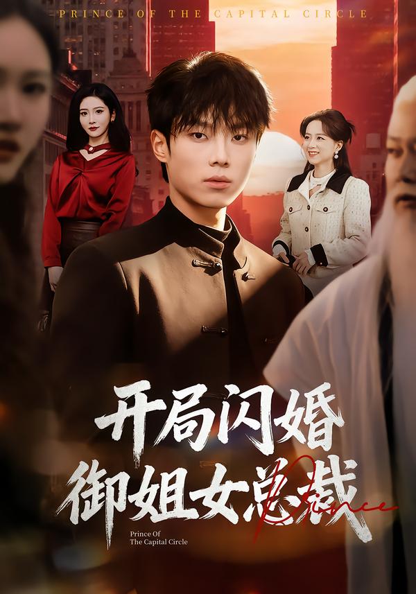 开局闪婚御姐女总裁海报