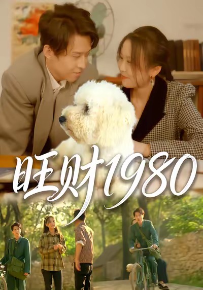 旺财1980海报