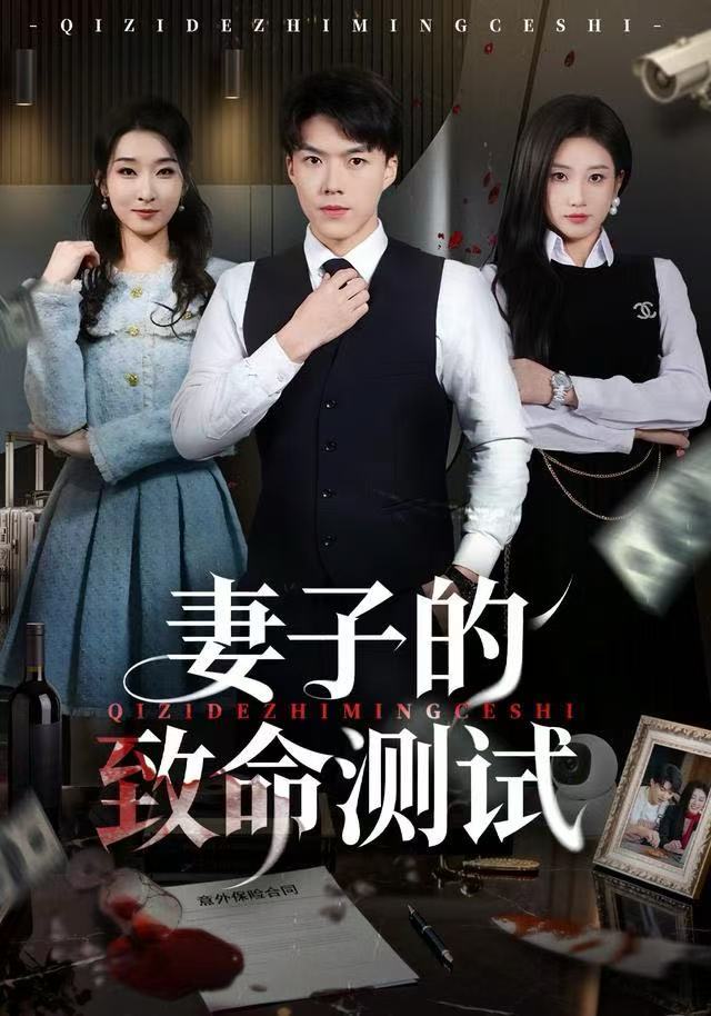 妻子的致命测试海报