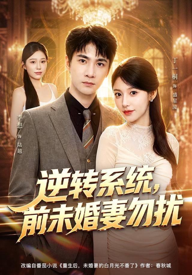 逆转系统，前未婚妻勿扰海报