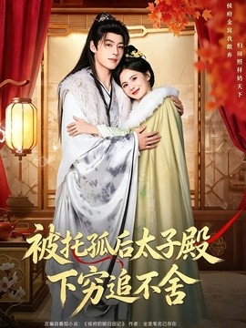 被托孤后太子殿下穷追不舍海报