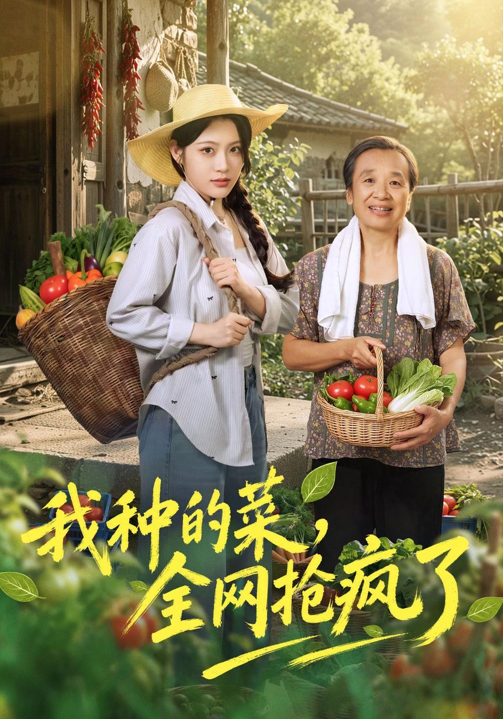 我种的菜，全网抢疯了海报