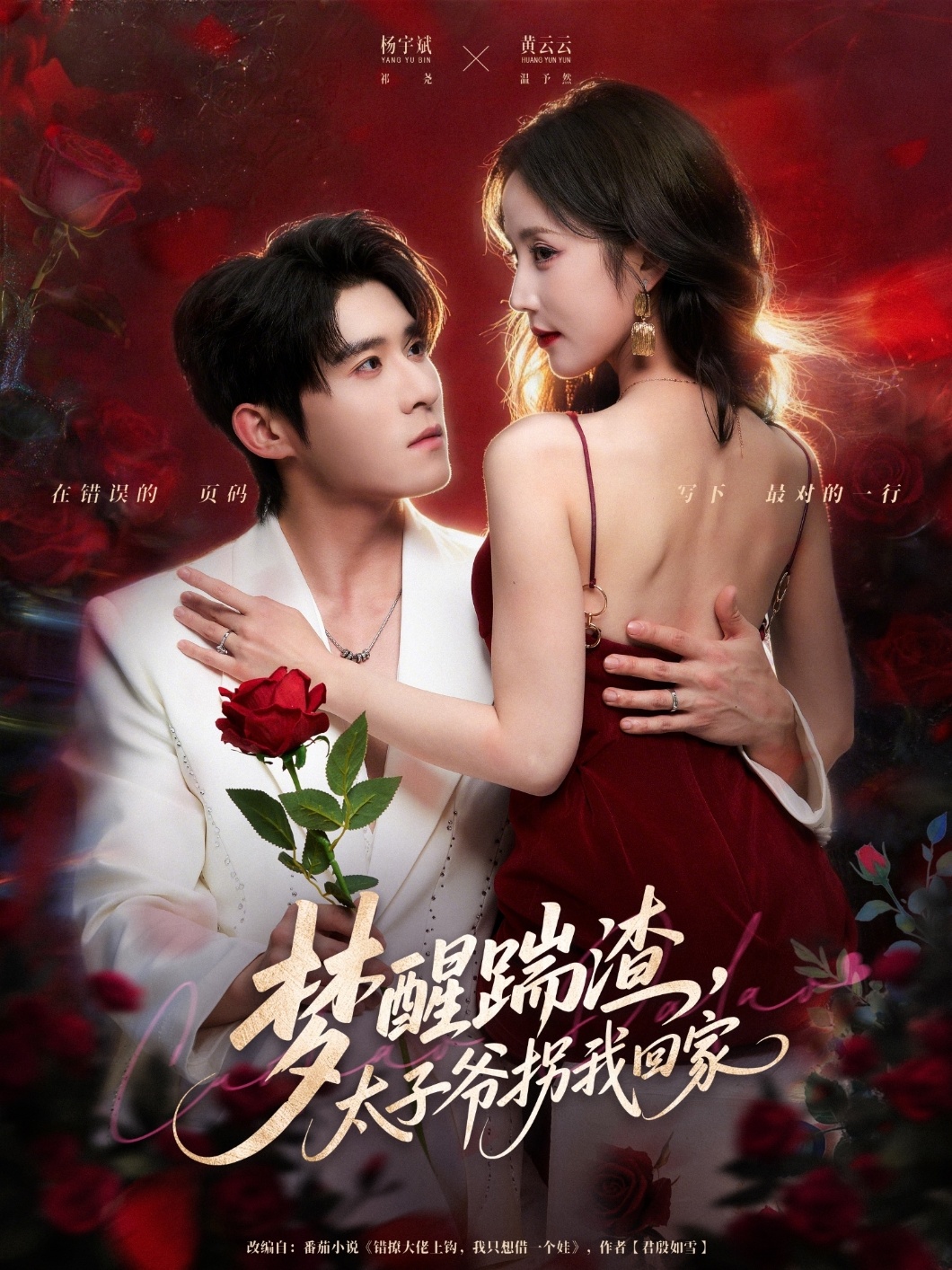 梦醒踹渣，太子爷拐我回家海报
