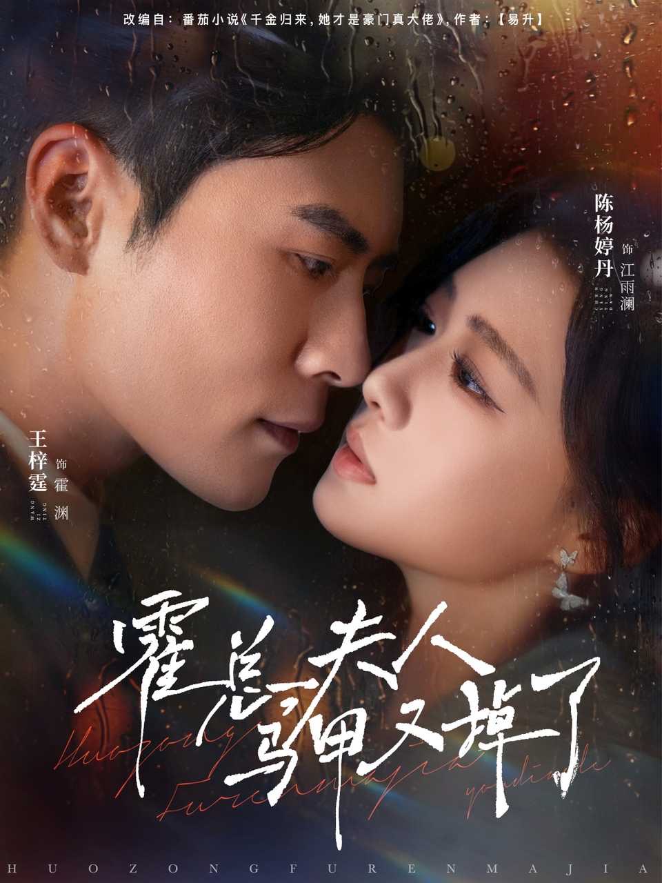 霍总夫人马甲又掉了海报