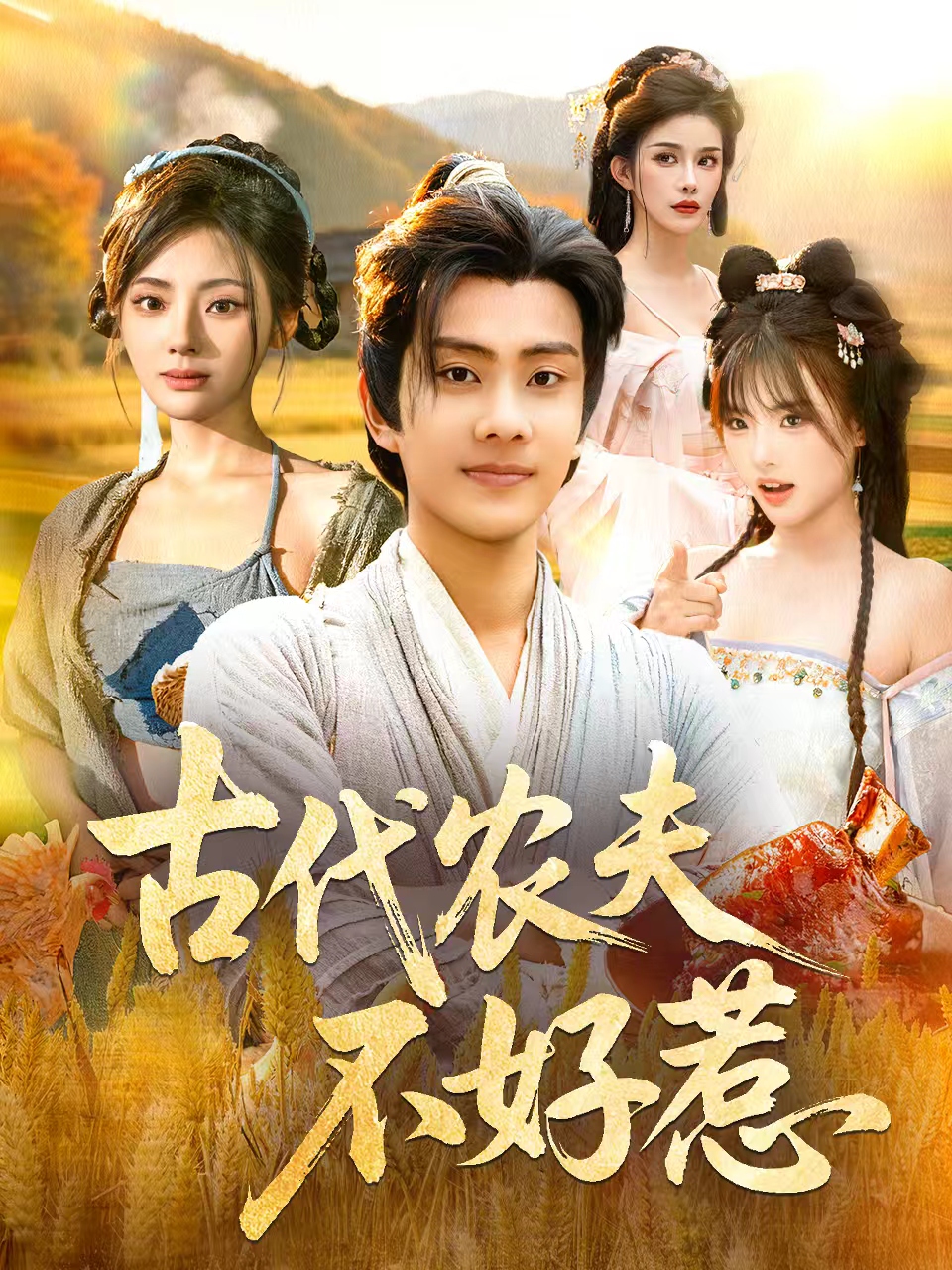 古代农夫不好惹海报
